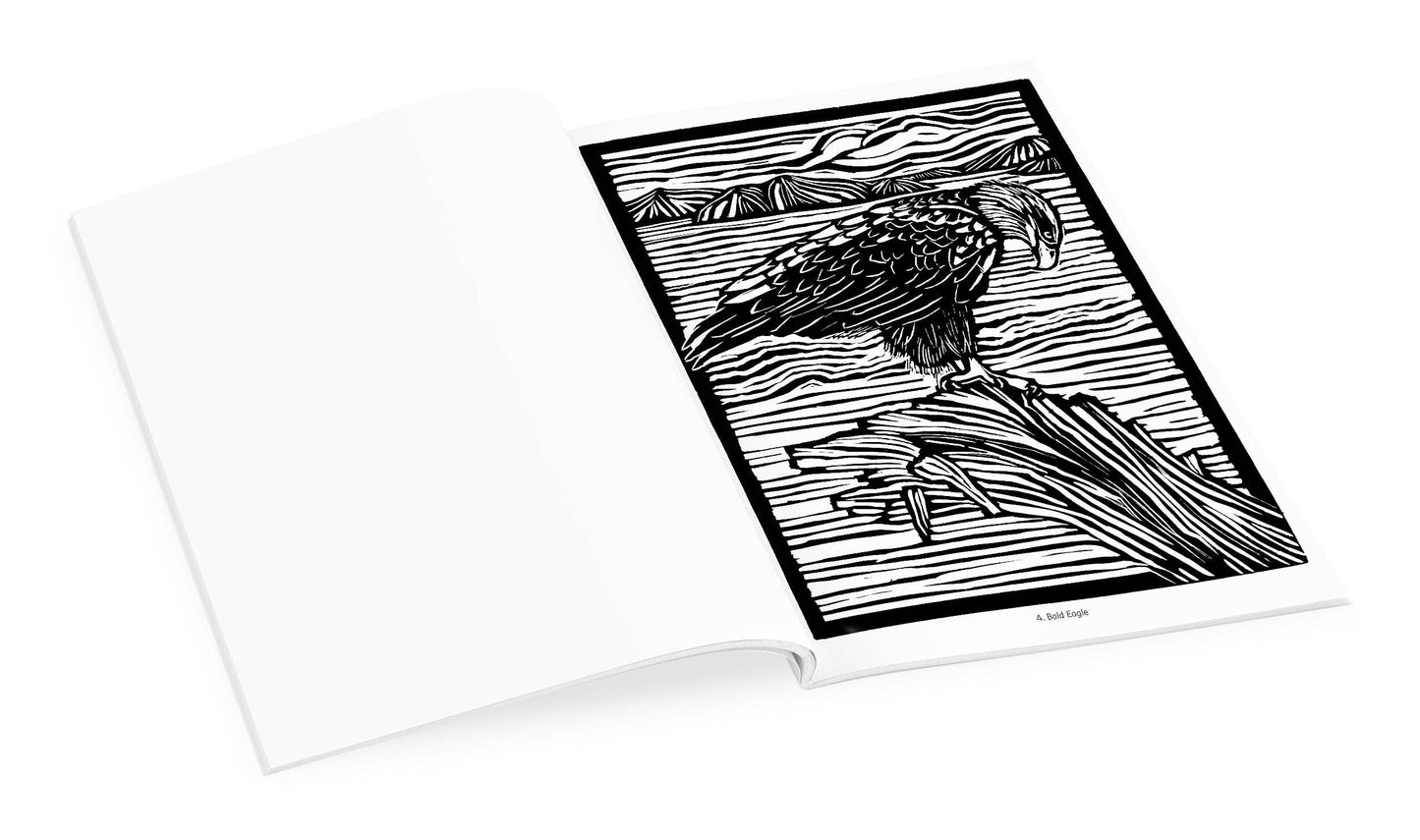 Molly Hashimoto: Birds Coloring Book
