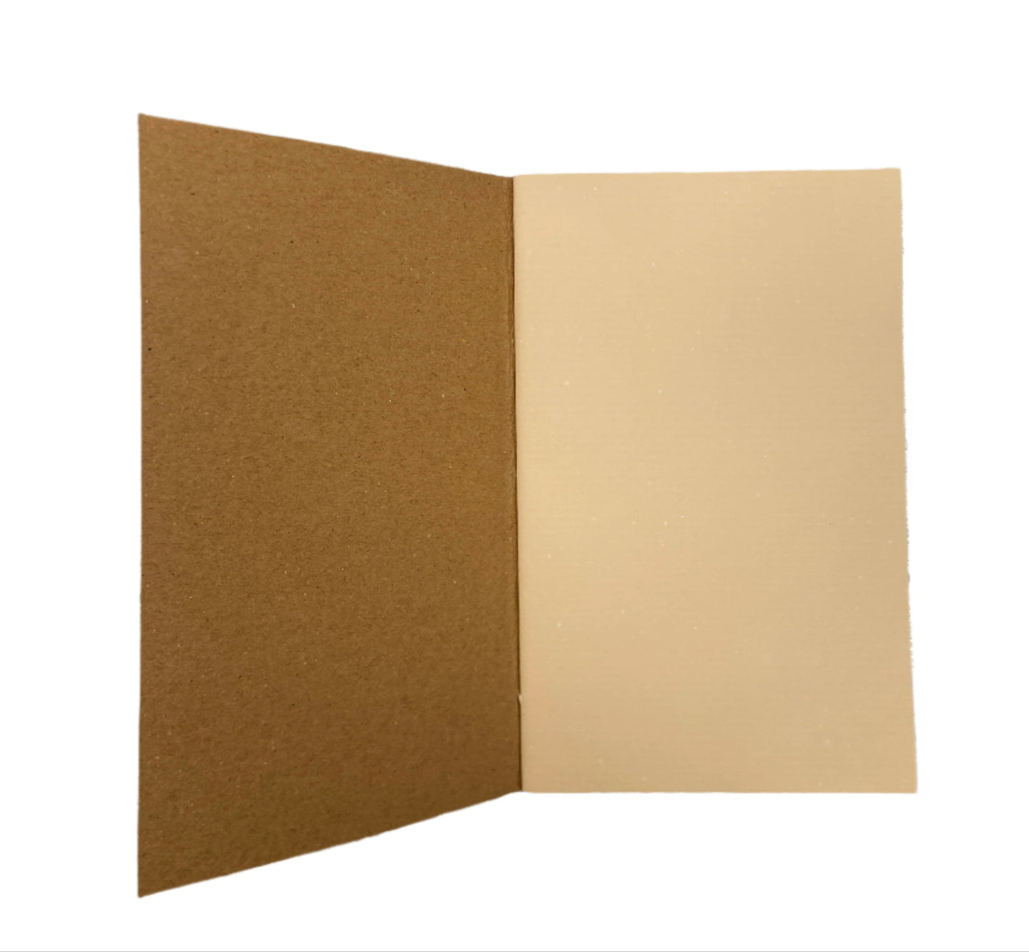 Our Lady of Guadalupe Journal