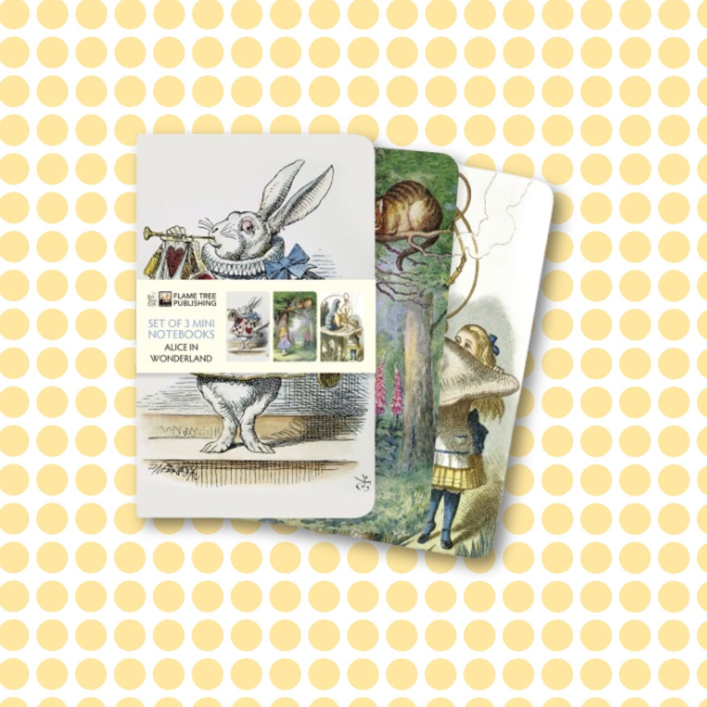 Alice In Wonderland Set of 3 Mini Notebooks