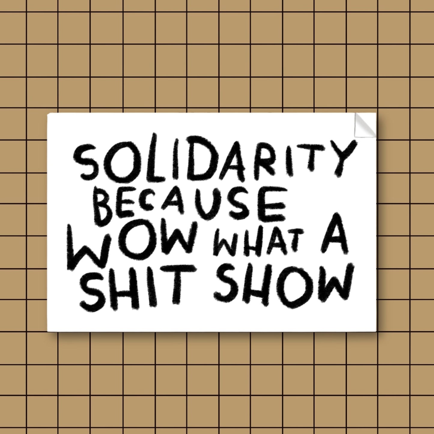 SHIT SHOW SOLIDARITY Sticker