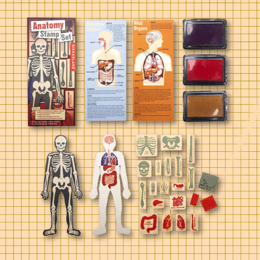 Anatomy Stamp Set