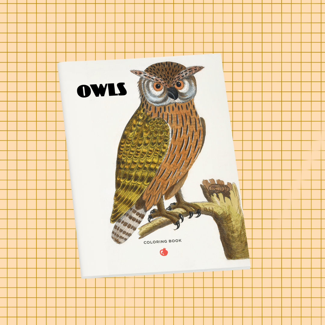 Owls Coloring Book
