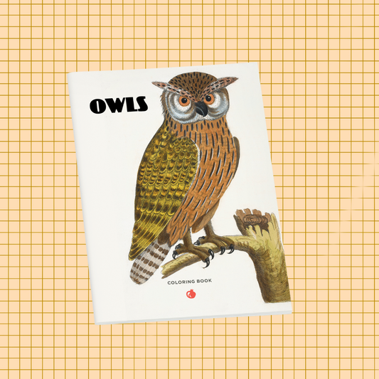 Owls Coloring Book