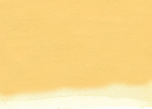 Nicker Poster Color Paint 40 ml