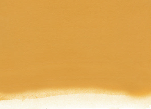 Nicker Poster Color Paint 40 ml